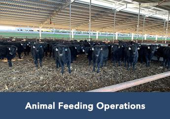 NPDES Animal Feeding Operations viewer image link