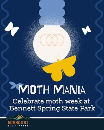 Illustration of a yellow moth under a glowing bulb with text Moth Mania