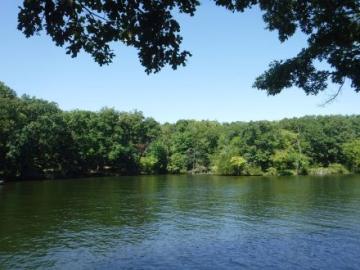 Lake Ozark rippling against a blue-sky with a green tree shoreline